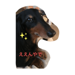 rutaro_20210723124625