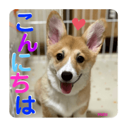 momoyanmama_20210723151409