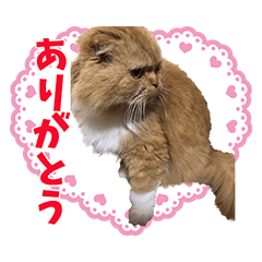 YAMANOSAN FAMILY Sticker