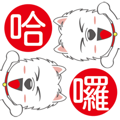 西高地白梗的日常