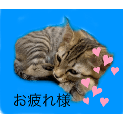 saya_20210723133518