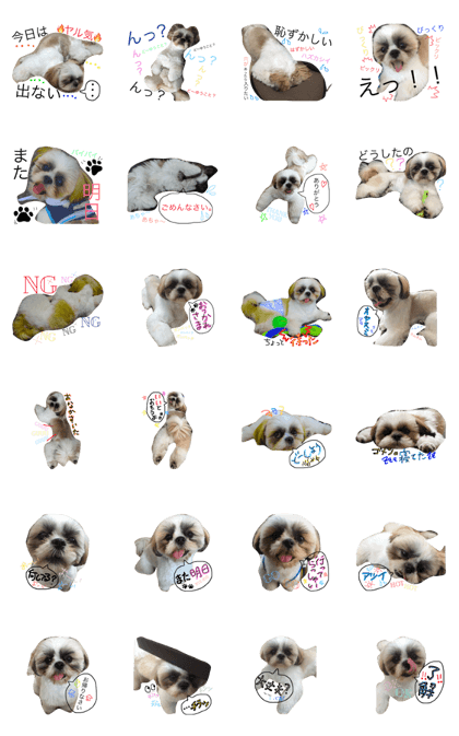 Shih Tzu stamp2(^ ^)