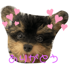 yuka_20210723153500