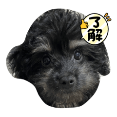 yuka_20210723154553