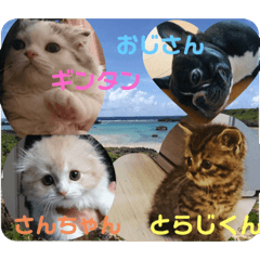 スコスペシャル‼︎