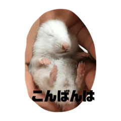 king_20210723195218