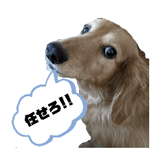 aozora_20210723211618