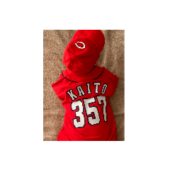 KAITO_20210723222015