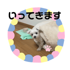 mayuyu_20210724091731