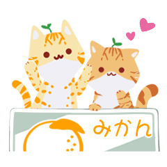 orange cat brothers