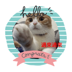 淇淇與弟弟的討拍日常