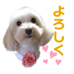 Mary_20210723174616