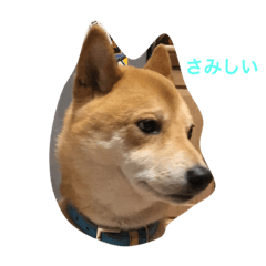 nanoshiba 2