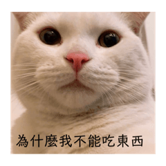 吳家動物區