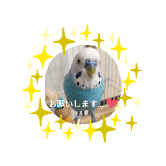 natsumi_20210723223809