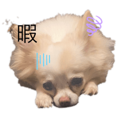 eririn_20210723232141