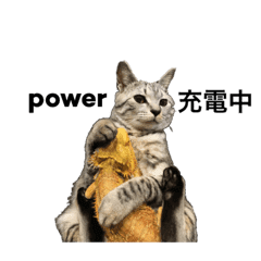 とかげとネコとやもりと Line スタンプ Line Store