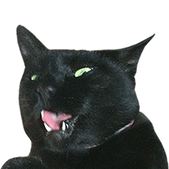 "strange face" black cat sticker
