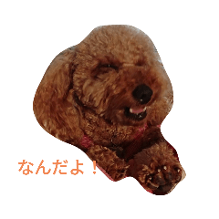 YUNKOKO_20210724123926