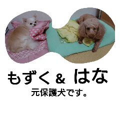 The original protection dog.mozuku&Hana2