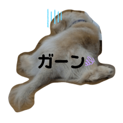 chie_20210724000822