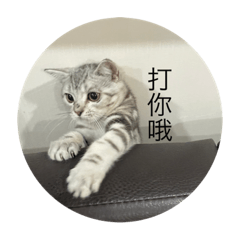 水梨先生