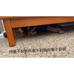 喔齁 我怎麼那麼可愛啦～