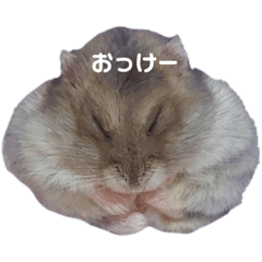 miki_20210724132748