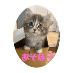 yun_20210724075029