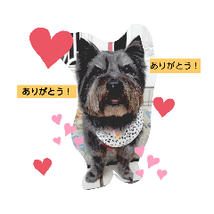 Nozomi_20210724073125