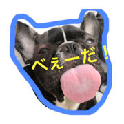 Frenchbulldog Monaka and Siuba