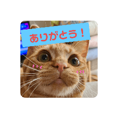 Saya_20210724191657