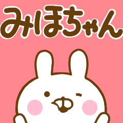 Rabbit Usahina mihochan