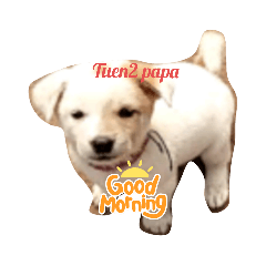 good morning_20210723160431