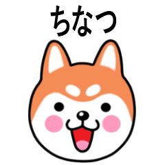 Chinatsu name sticker(Shiba Inu)