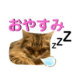 TOMOMI_20210724155253