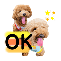Miko_20210724211931