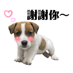 Pocky的日常貼圖