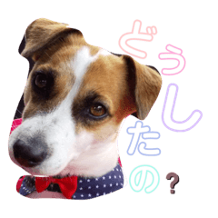 saya_20210724125755