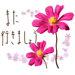 秋に使える言葉などにコスモスの花を添えて - LINE スタンプ | LINE STORE 秋に使える言葉などにコスモスの花を添えて - LINE スタンプ | LINE STORE