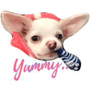 Yeeseeb1