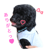 sakumin1