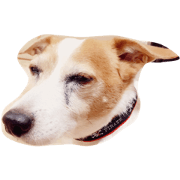 jrt pochi