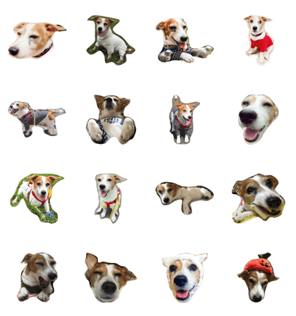 jrt pochi