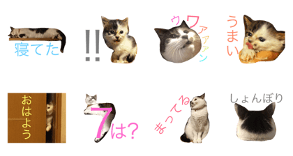 Hiichan stamps