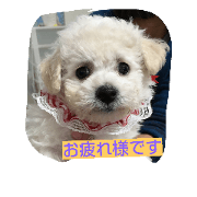 mofu!mofu!mofu!