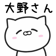 Cat For OONO