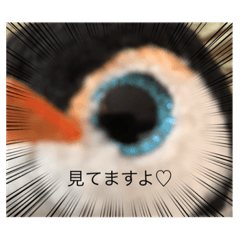 basketballLOVE_20210724183248