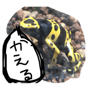 AnimalAnimal stamp