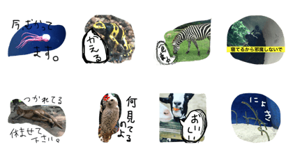 AnimalAnimal stamp